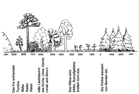 © Stiftelse Bergagården