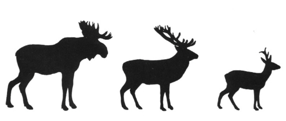 © Stiftelse Bergagården