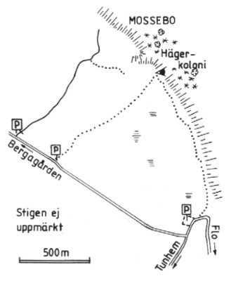  Stiftelse Bergagrden