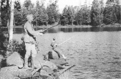 © Roy Johansson